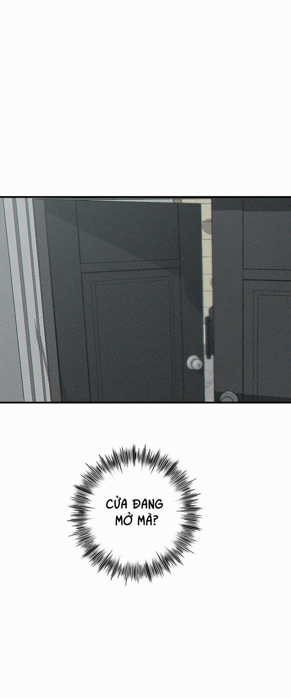 Risky Vice 4 trang 24