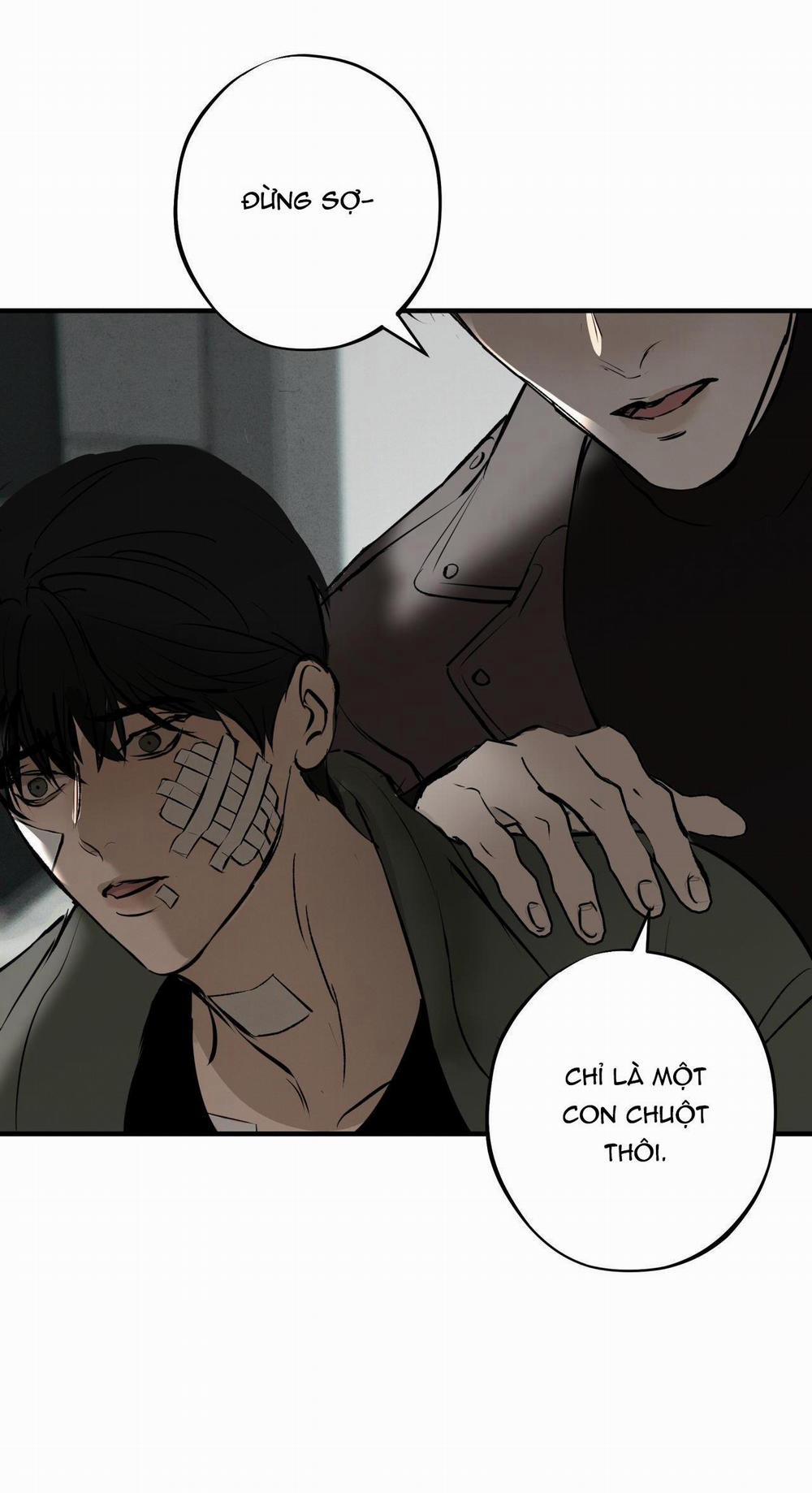 Risky Vice 5 trang 42