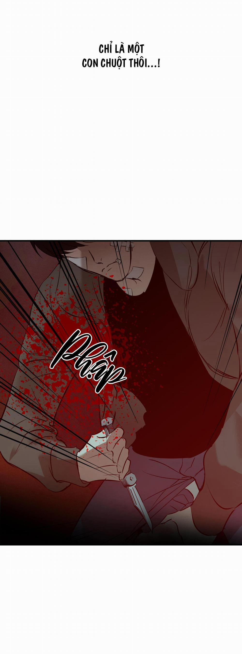 Risky Vice 5 trang 45