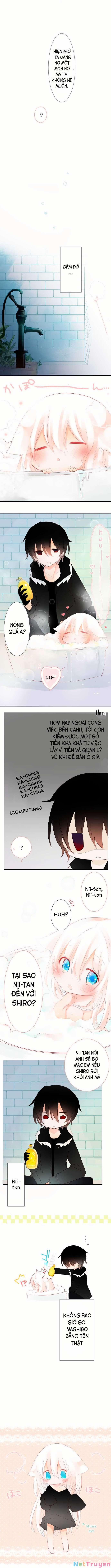 Rodiura Kurashi – Official 9 trang 7