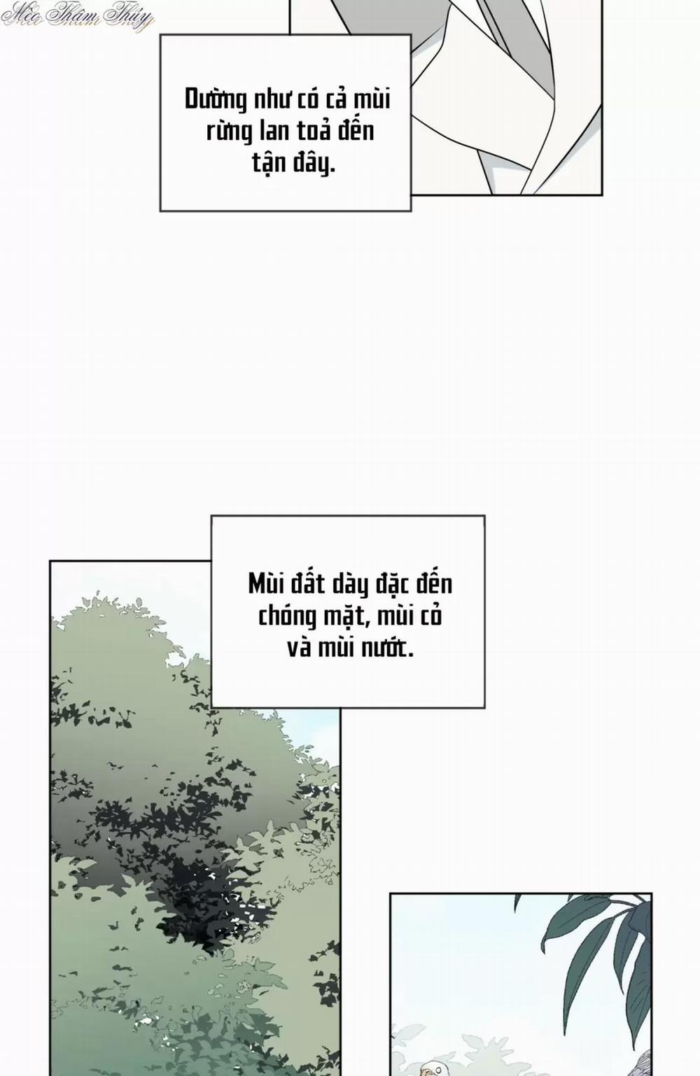 Rừng Biển 4 trang 32