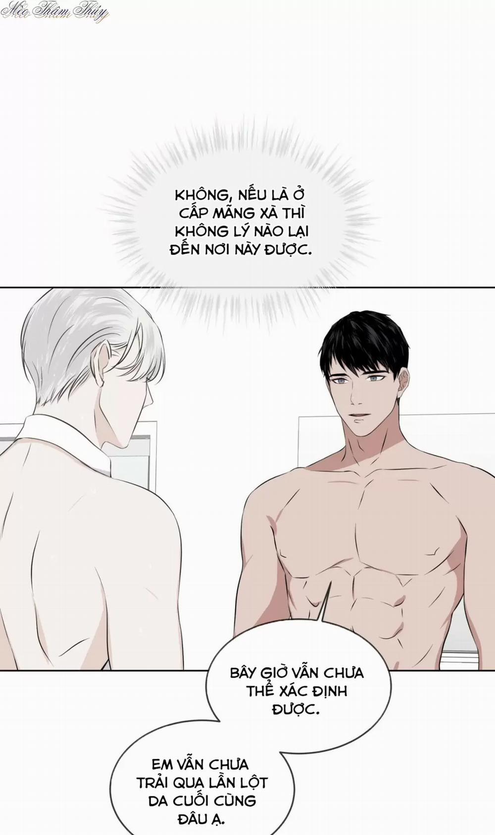 Rừng Biển 5 trang 17