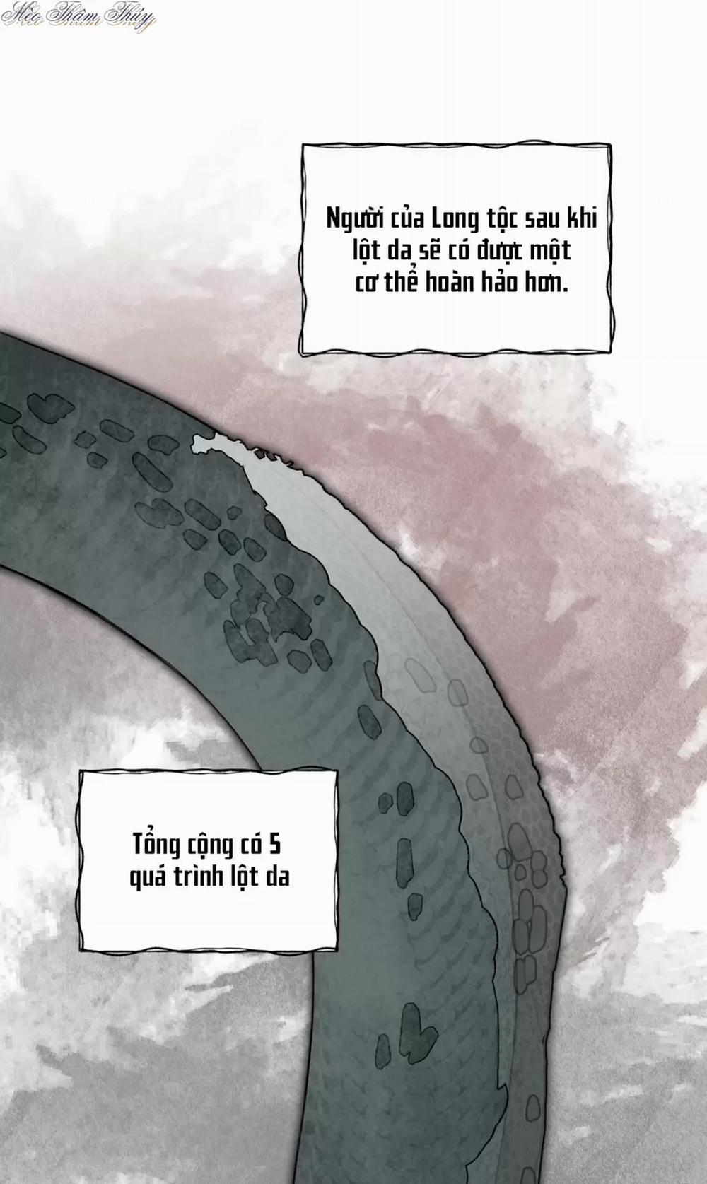 Rừng Biển 5 trang 19