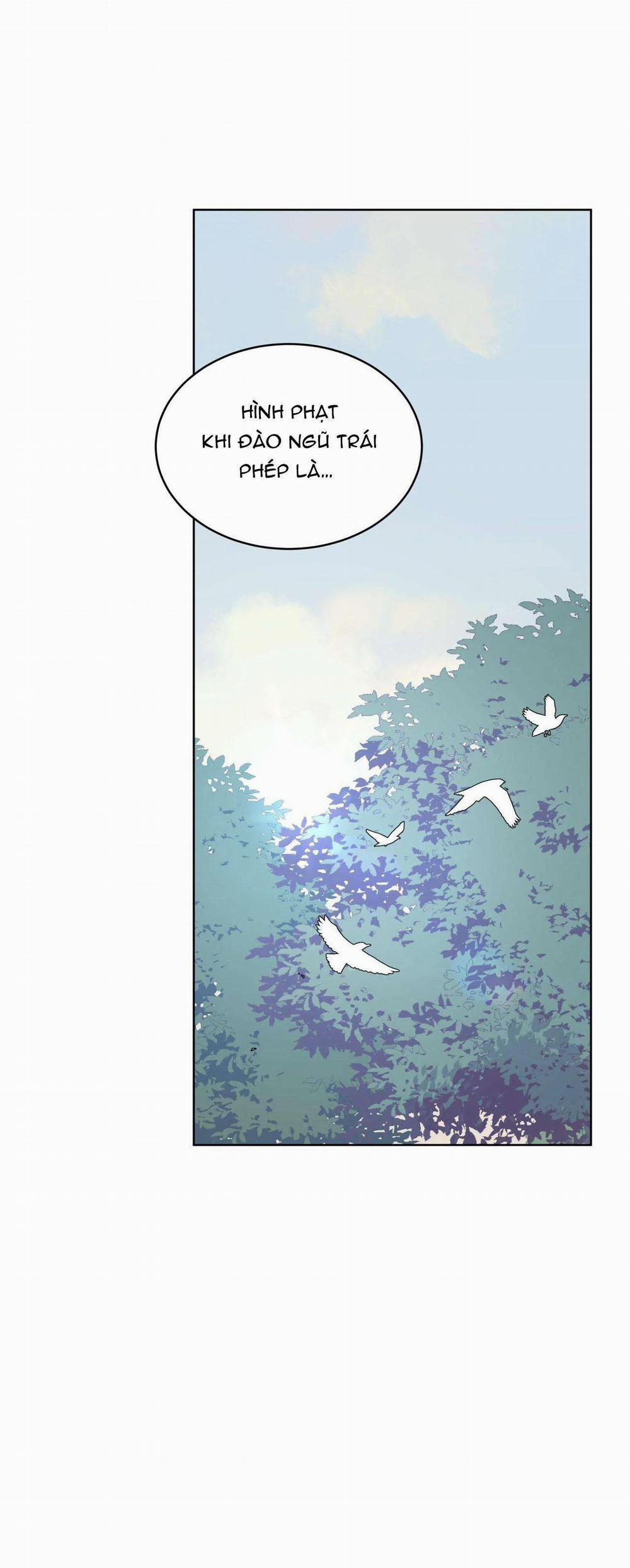 Rừng Biển 54 trang 3