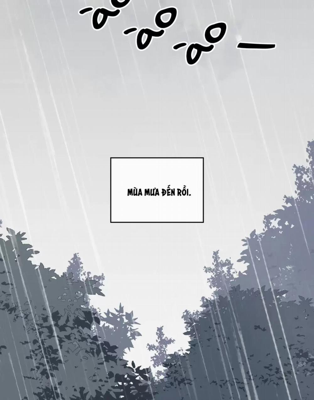 Rừng Biển 6 trang 15