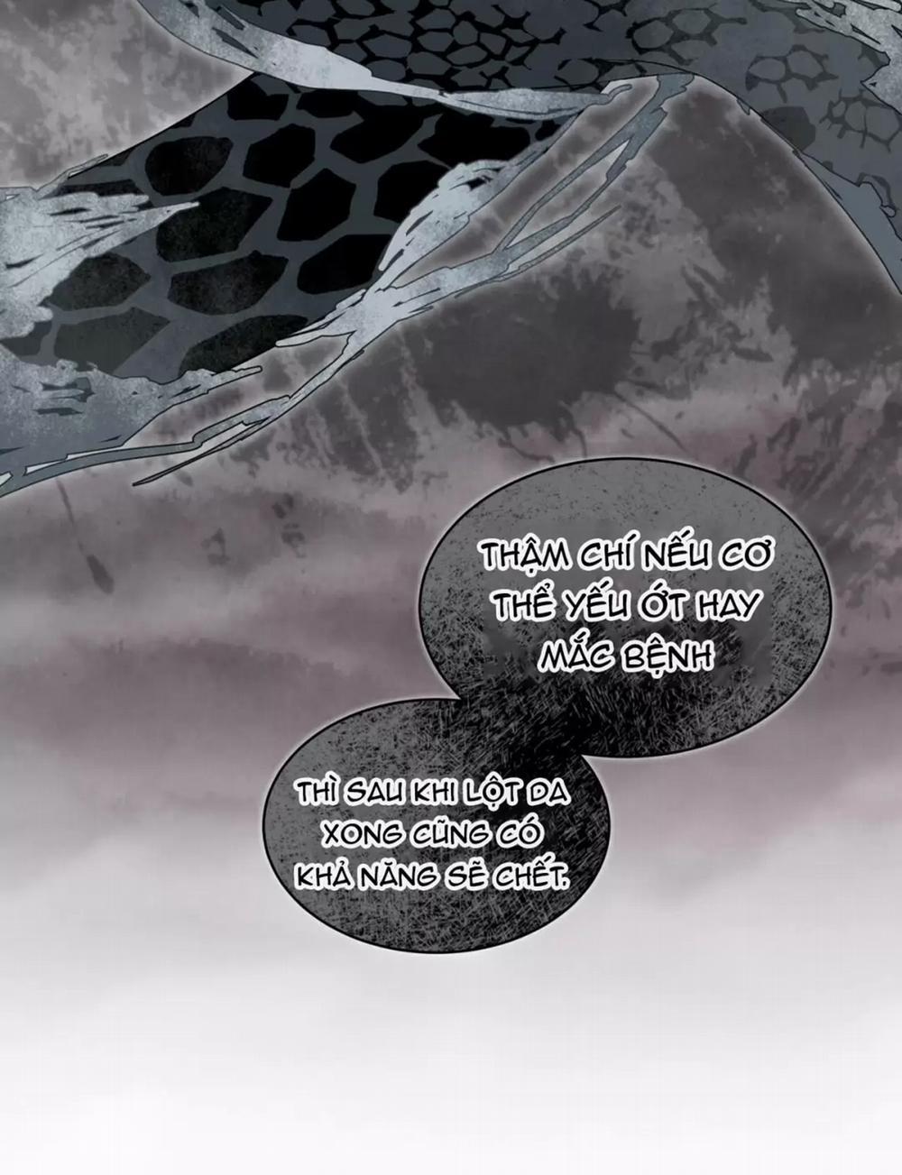 Rừng Biển 6 trang 41