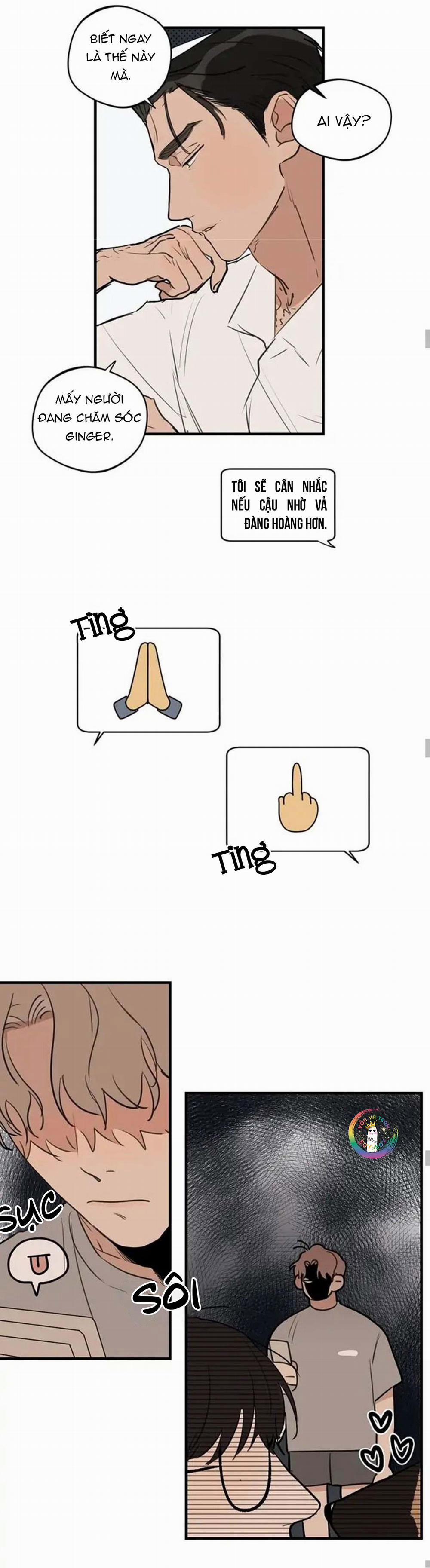 Runway Hit (END) 64 Extra 4 trang 21