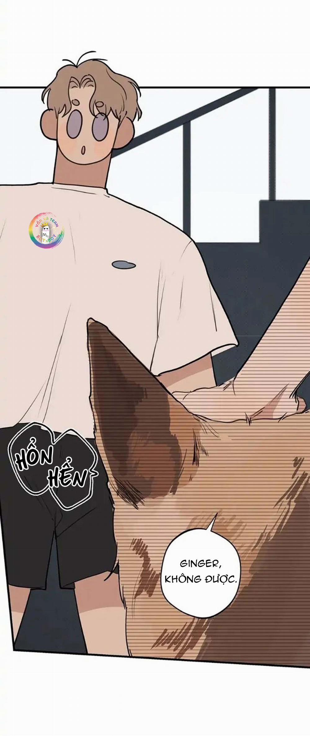 Runway Hit (END) 64 Extra 4 trang 4