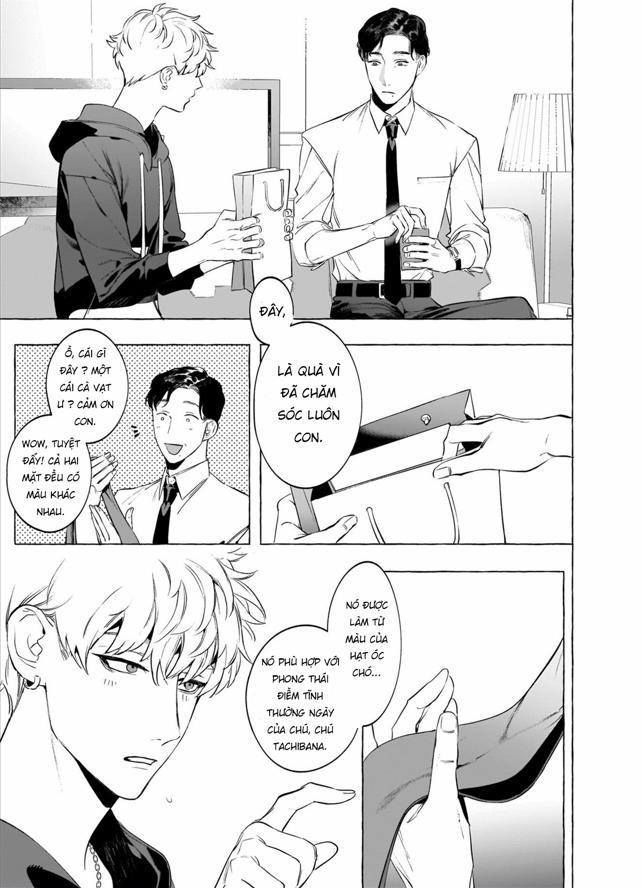 Rượu, Thuốc Lá và Những Nụ Hôn Oneshot trang 8