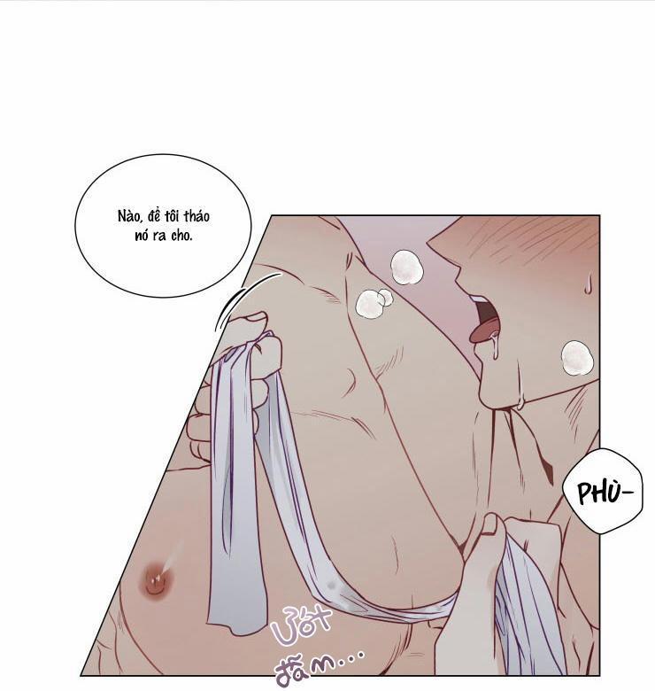 S của thần linh hay S của sự bạo dâm ? 12 trang 17