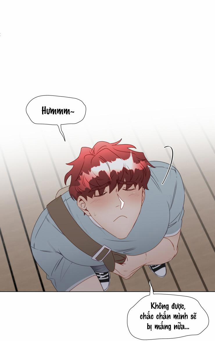 S của thần linh hay S của sự bạo dâm ? 15 trang 56