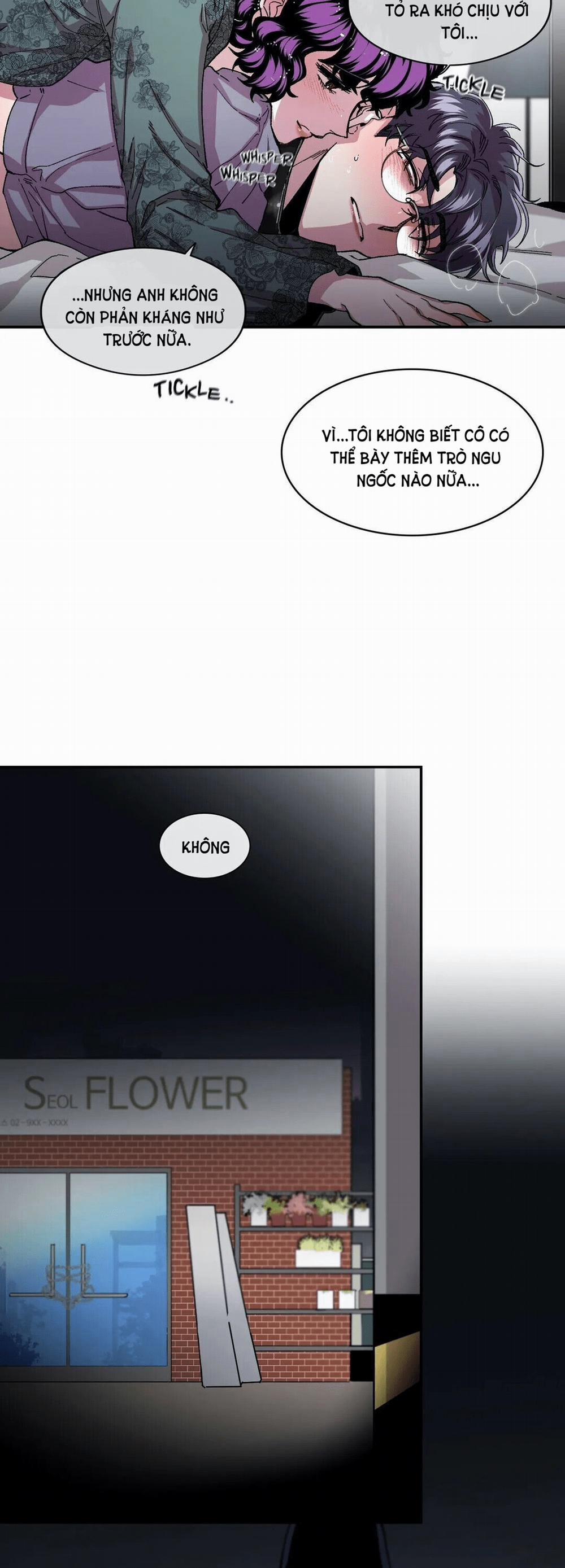 S_Flower 53.1 trang 27