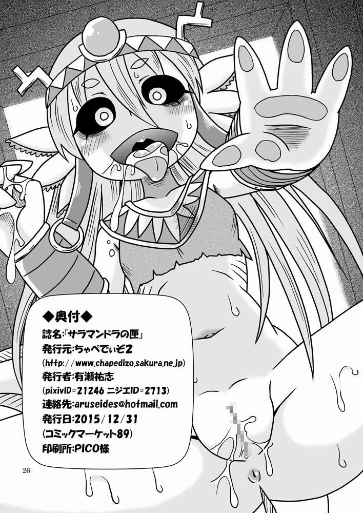 Salamandra's Chest 1 [End] trang 24