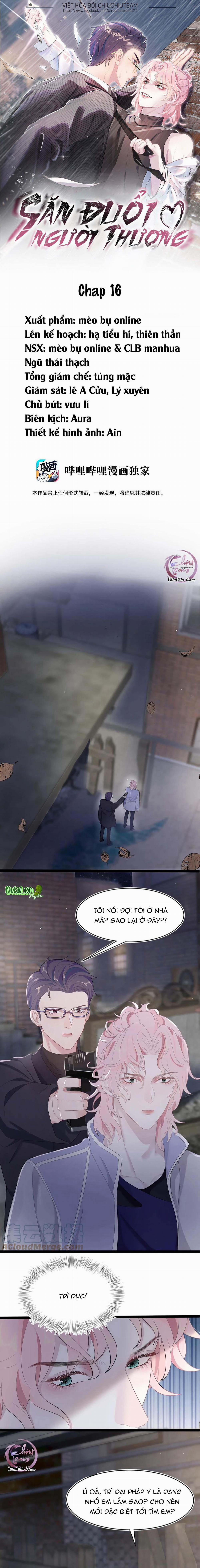 Săn Đuổi Người Thương 16 trang 0