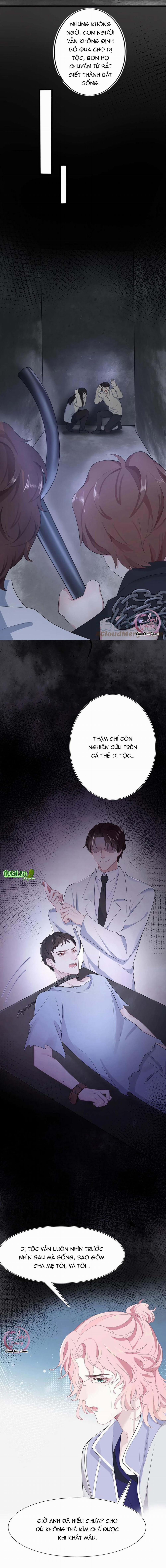 Săn Đuổi Người Thương 16 trang 5