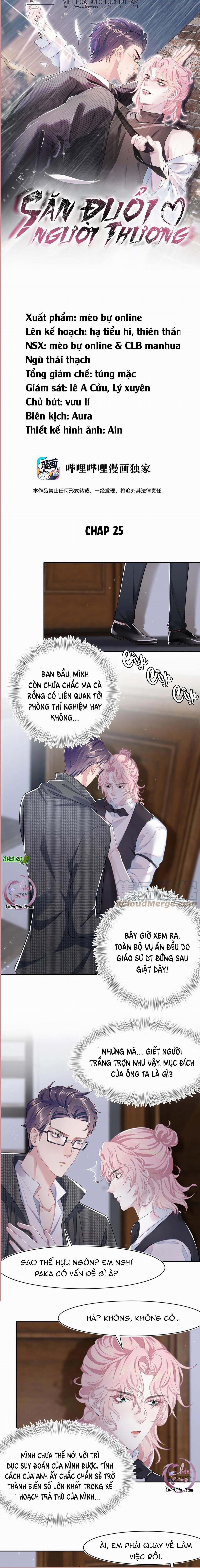 Săn Đuổi Người Thương 25 trang 0