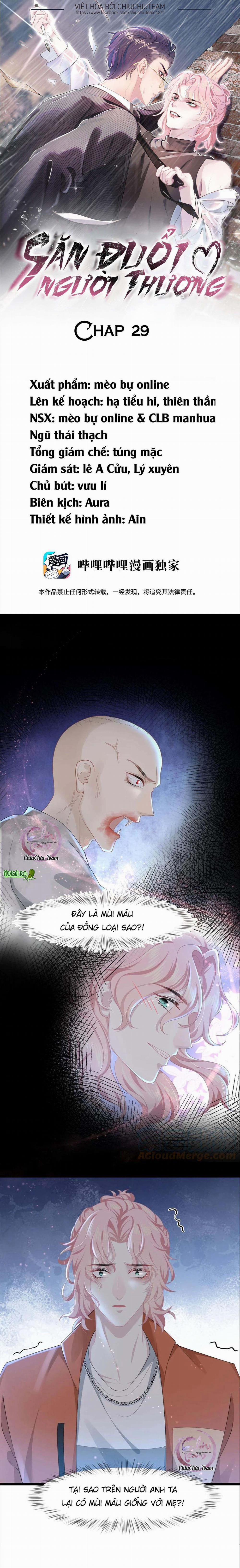 Săn Đuổi Người Thương 29 trang 0