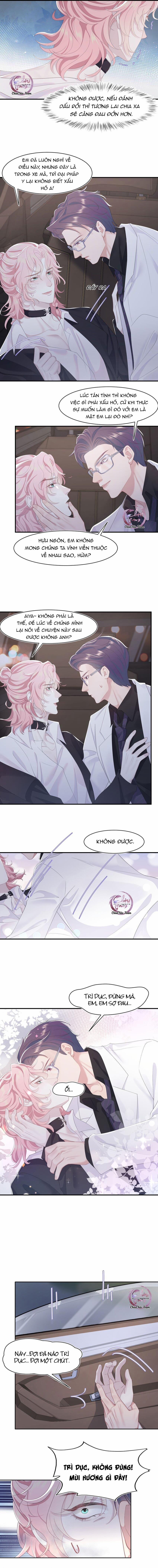 Săn Đuổi Người Thương 65 trang 4