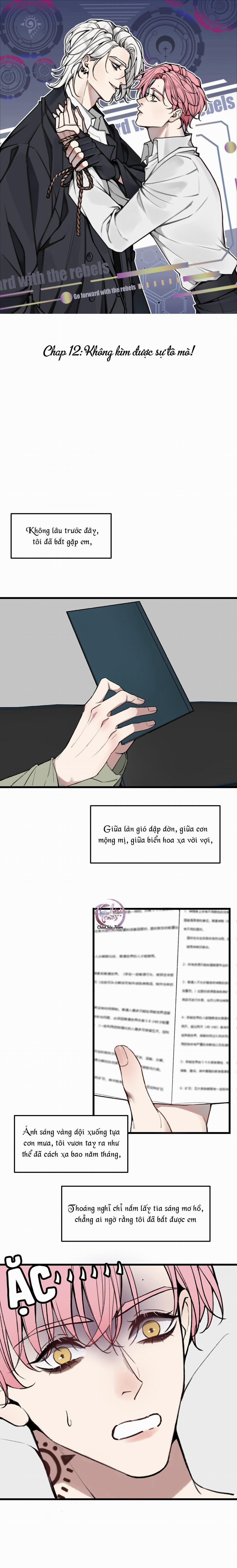 Sánh Vai Cùng Kẻ Phản Nghịch (END) 12 trang 0