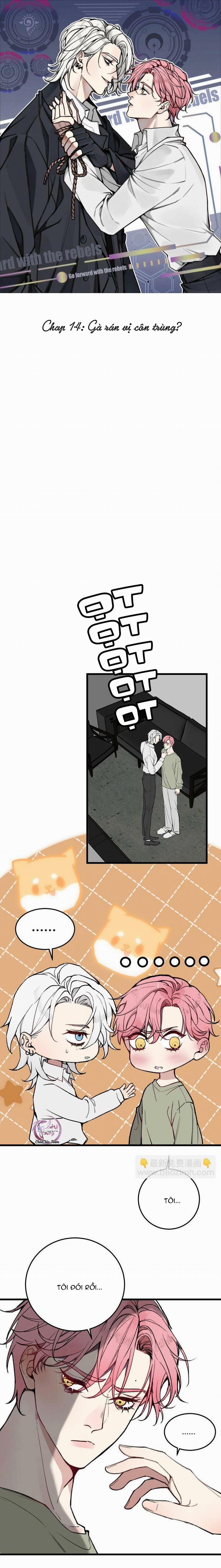 Sánh Vai Cùng Kẻ Phản Nghịch (END) 14 trang 0
