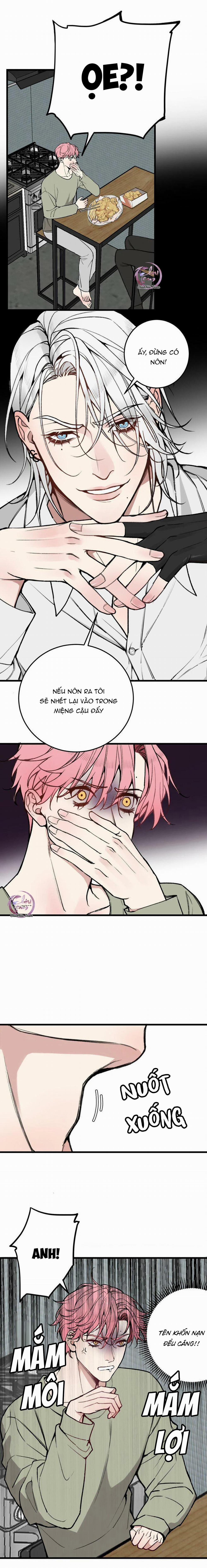 Sánh Vai Cùng Kẻ Phản Nghịch (END) 14 trang 6