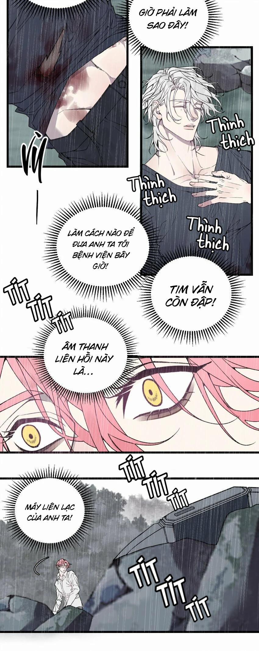 Sánh Vai Cùng Kẻ Phản Nghịch (END) 24 trang 5