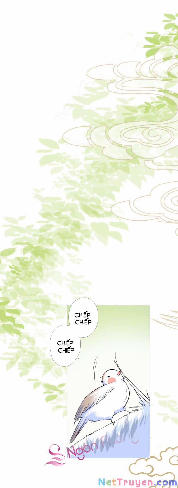 Sao Lại Là Yêu? 35 trang 0