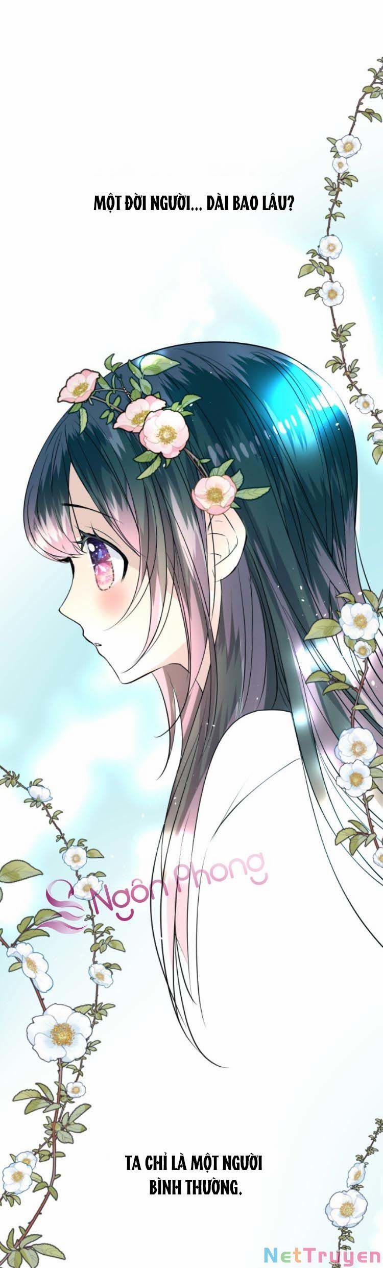 Sao Lại Là Yêu? 39 trang 0