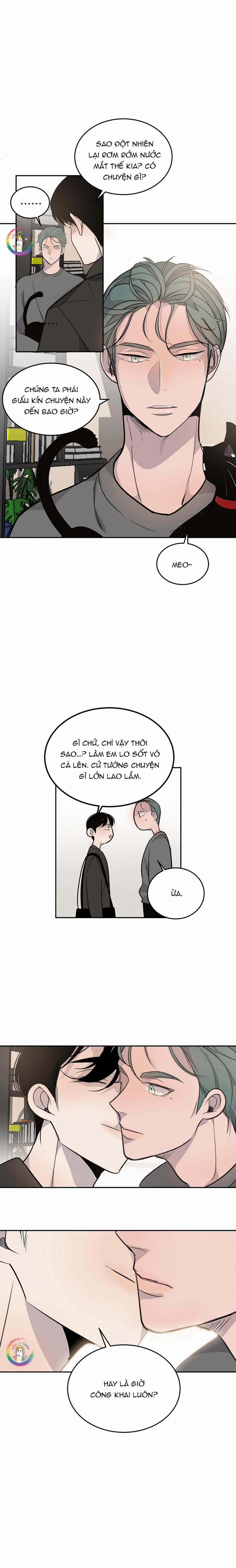 Sao NOTP Lại Thành Thật Rồi? (END) 4 trang 7