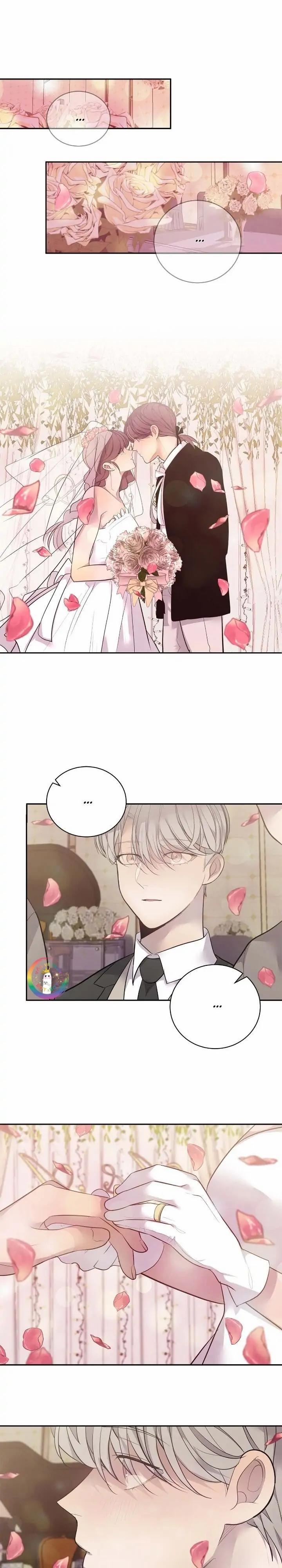 Sao NOTP Lại Thành Thật Rồi? 50 trang 13