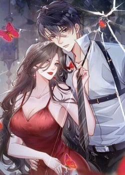 Đọc truyện Sát Thủ Bướm