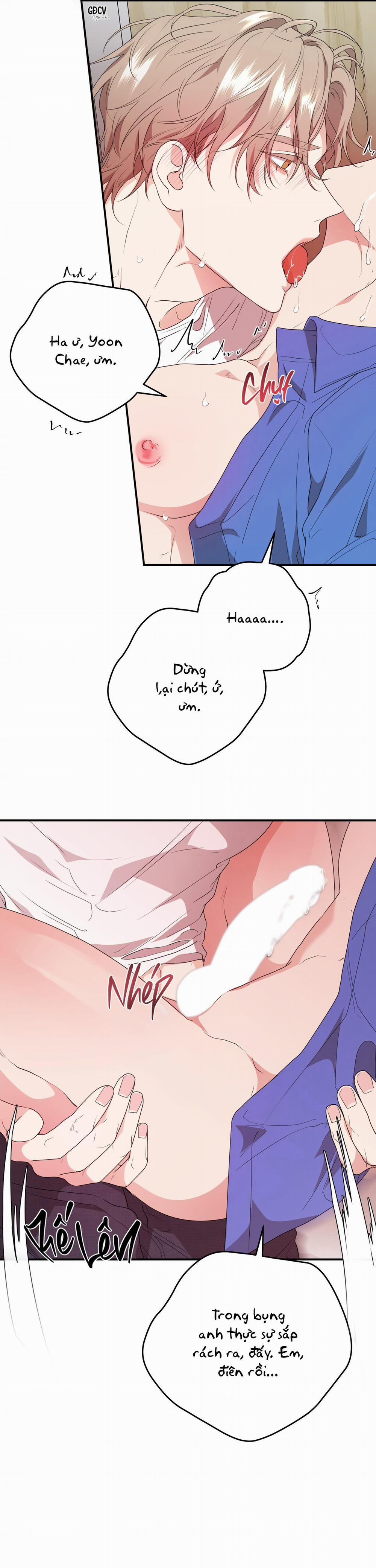 SÁT THỦ TRINH TIẾT 6 0 0 END trang 12