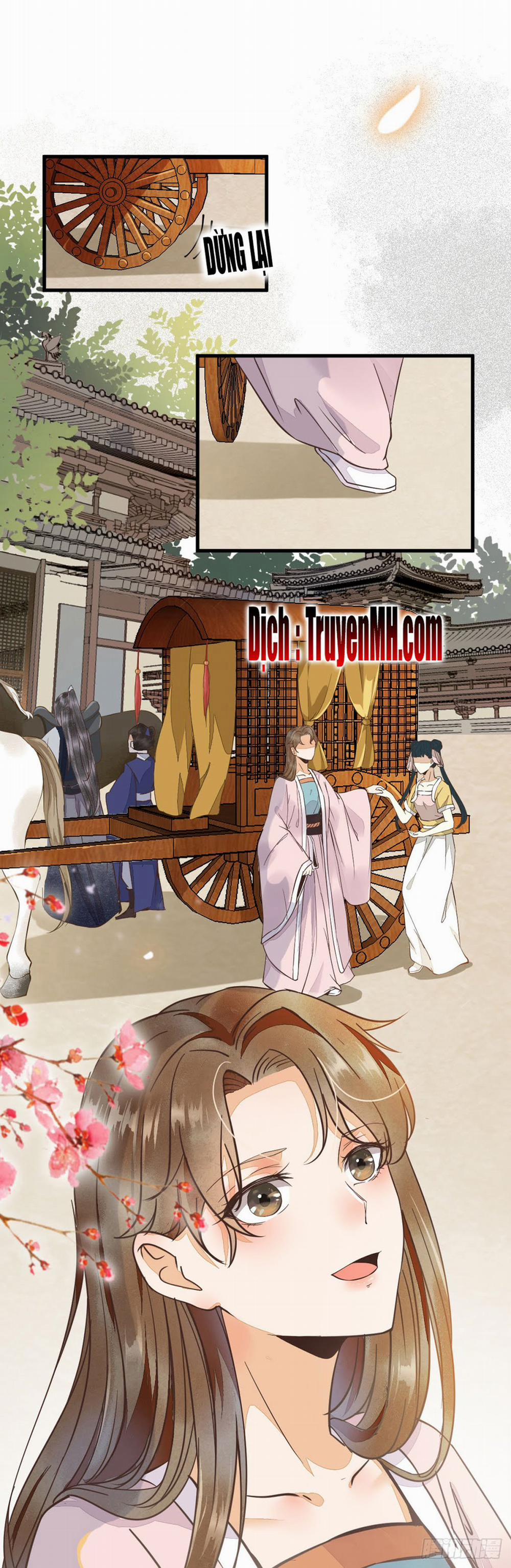 Sát Thủ Vương Phi Không Dễ Chọc 6 trang 0