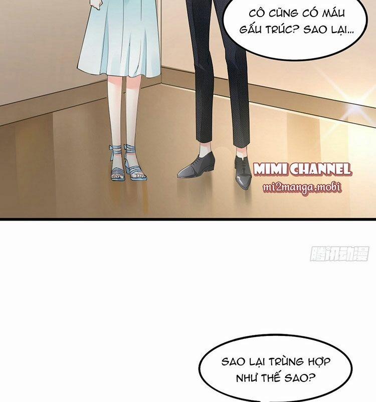 Satan Tổng Tài, Đừng Yêu Tôi 9 trang 11