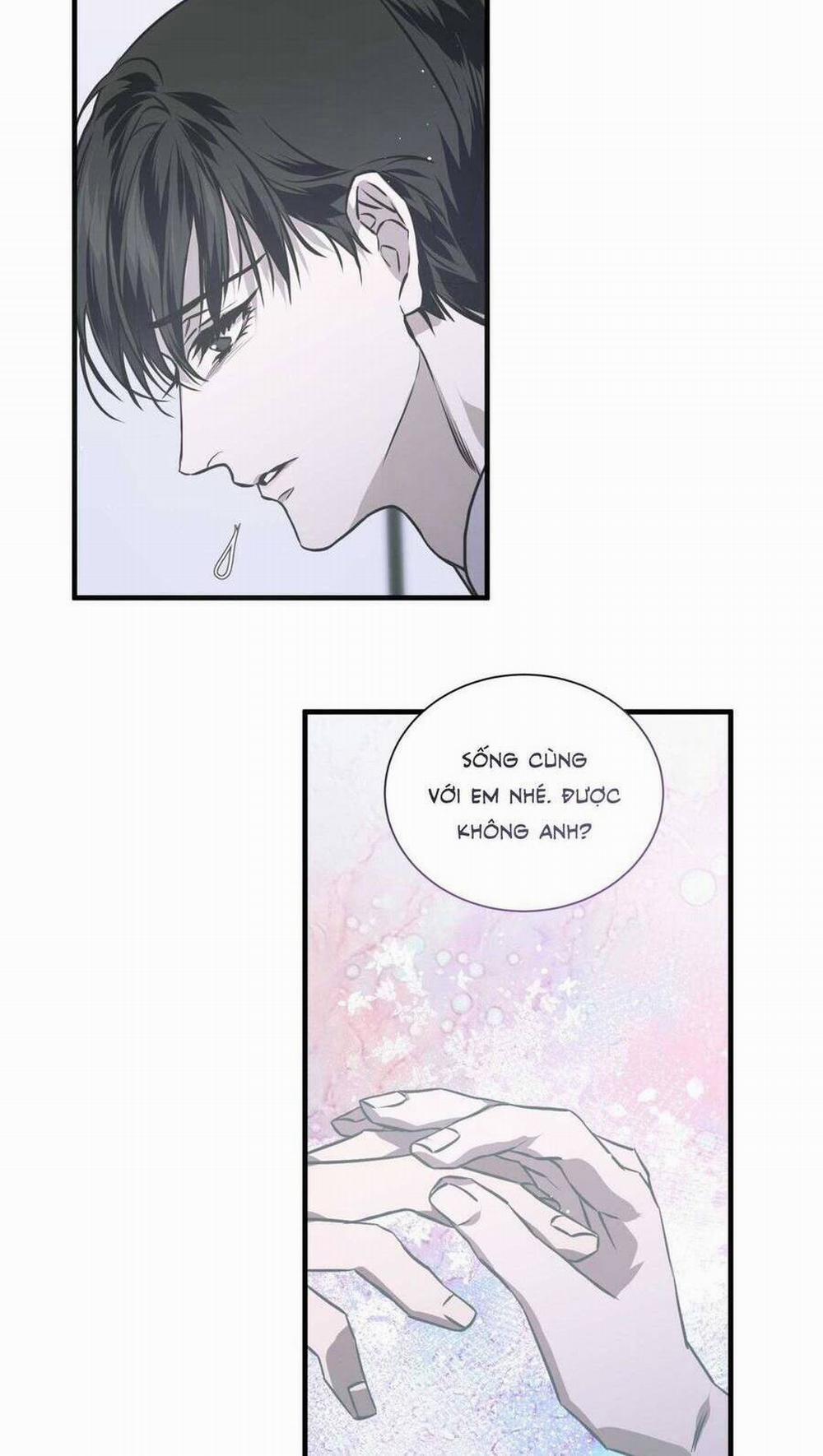 Sau Ánh Hào Quang 13 trang 16