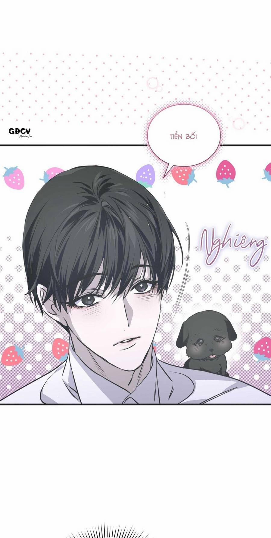 Sau Ánh Hào Quang 15 trang 49