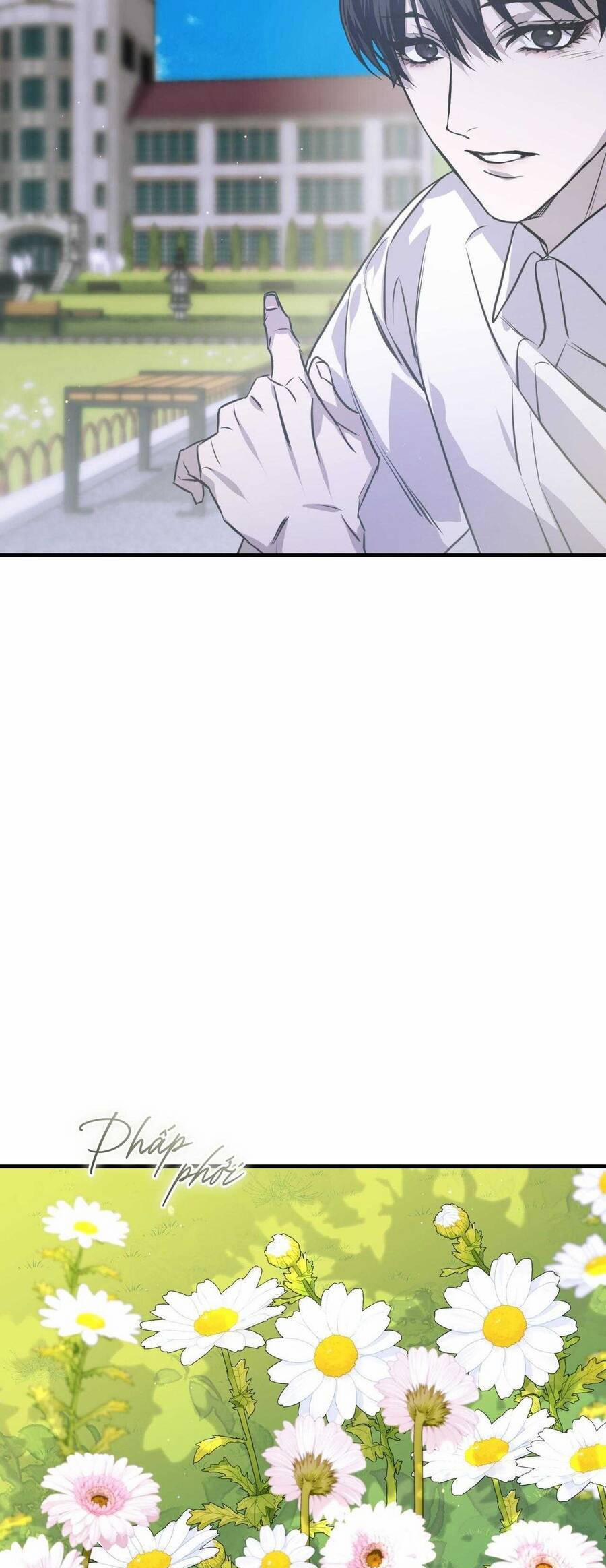 Sau Ánh Hào Quang 17 trang 33