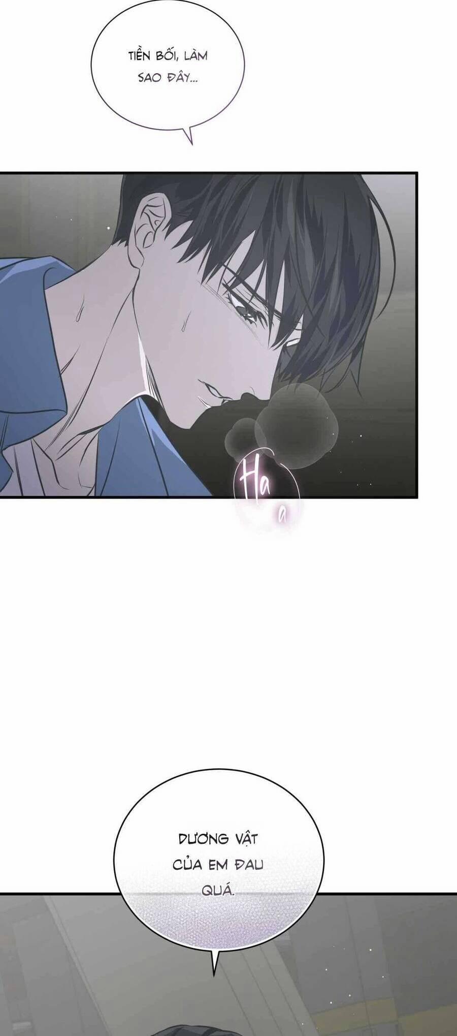 Sau Ánh Hào Quang 22 trang 50