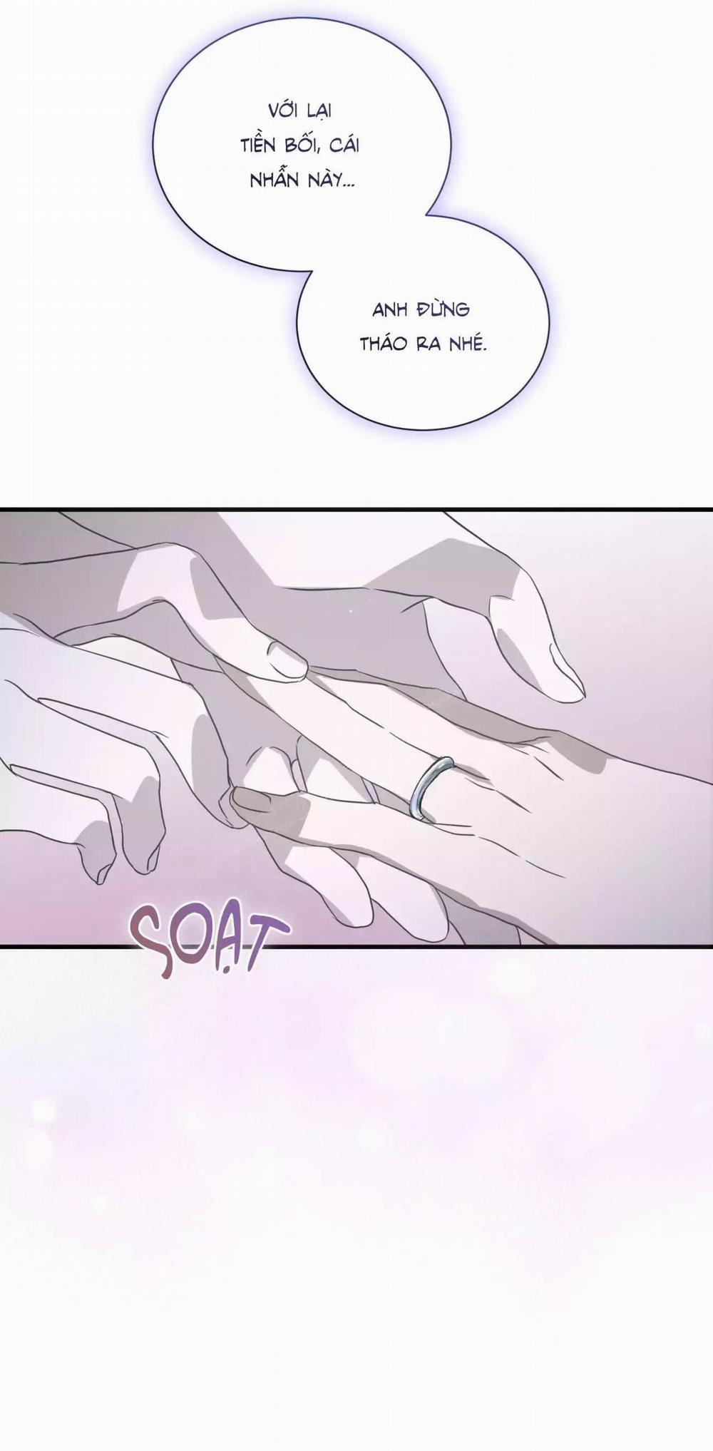 Sau Ánh Hào Quang 28 trang 24