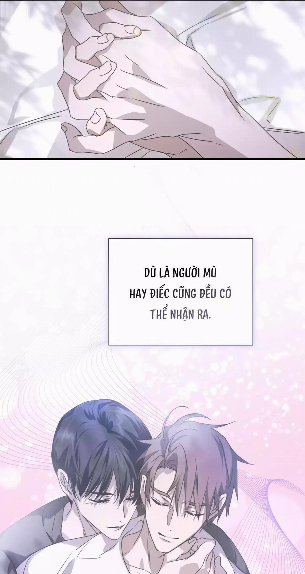 Sau Ánh Hào Quang 30 trang 5