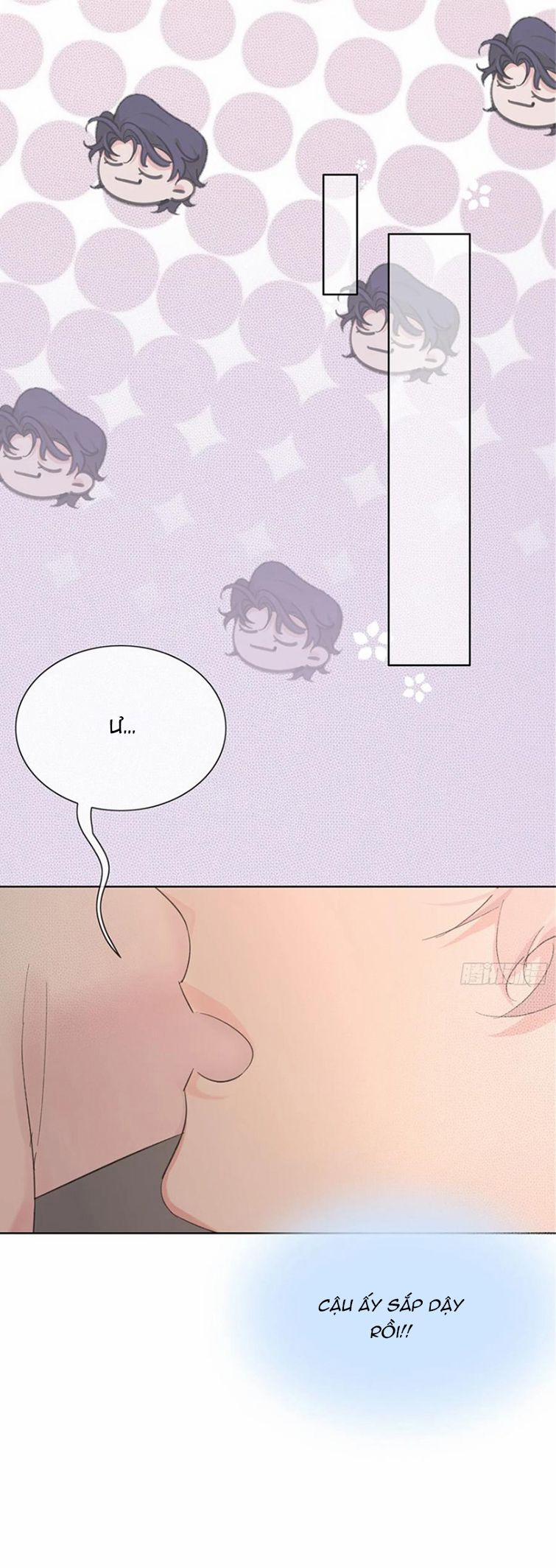 Sau Khi Xuyên Thành Pháo Hôi Tôi Chỉ Muốn Ly Hôn 11 trang 8