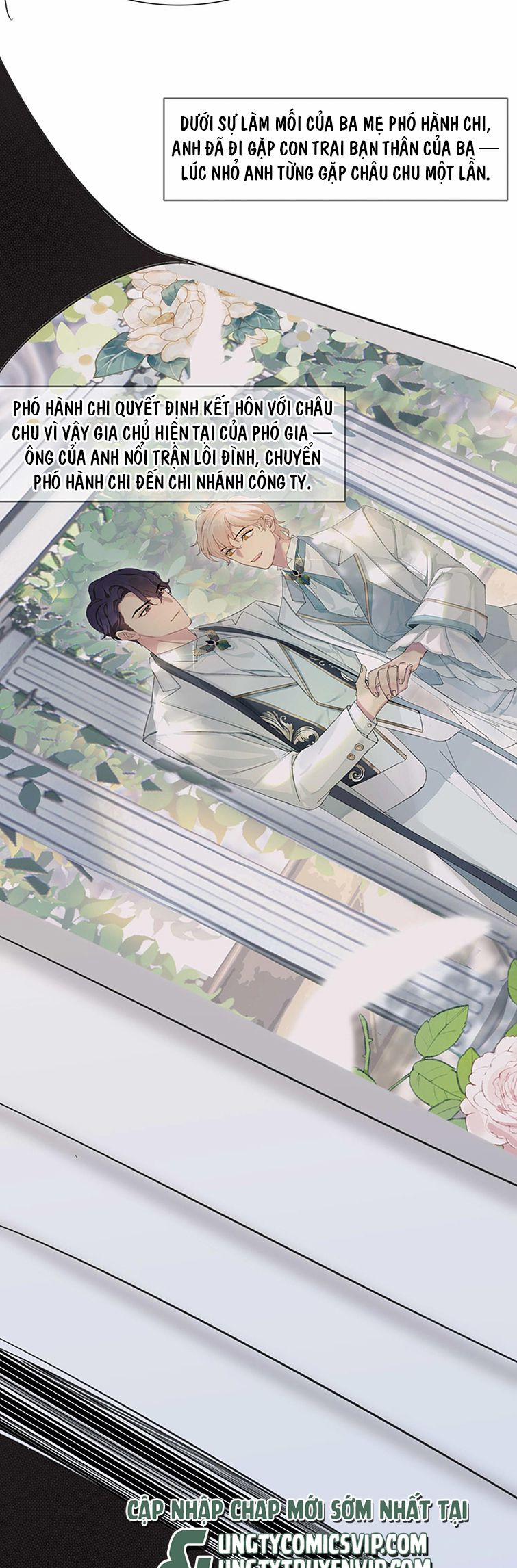 Sau Khi Xuyên Thành Pháo Hôi Tôi Chỉ Muốn Ly Hôn 17 trang 16