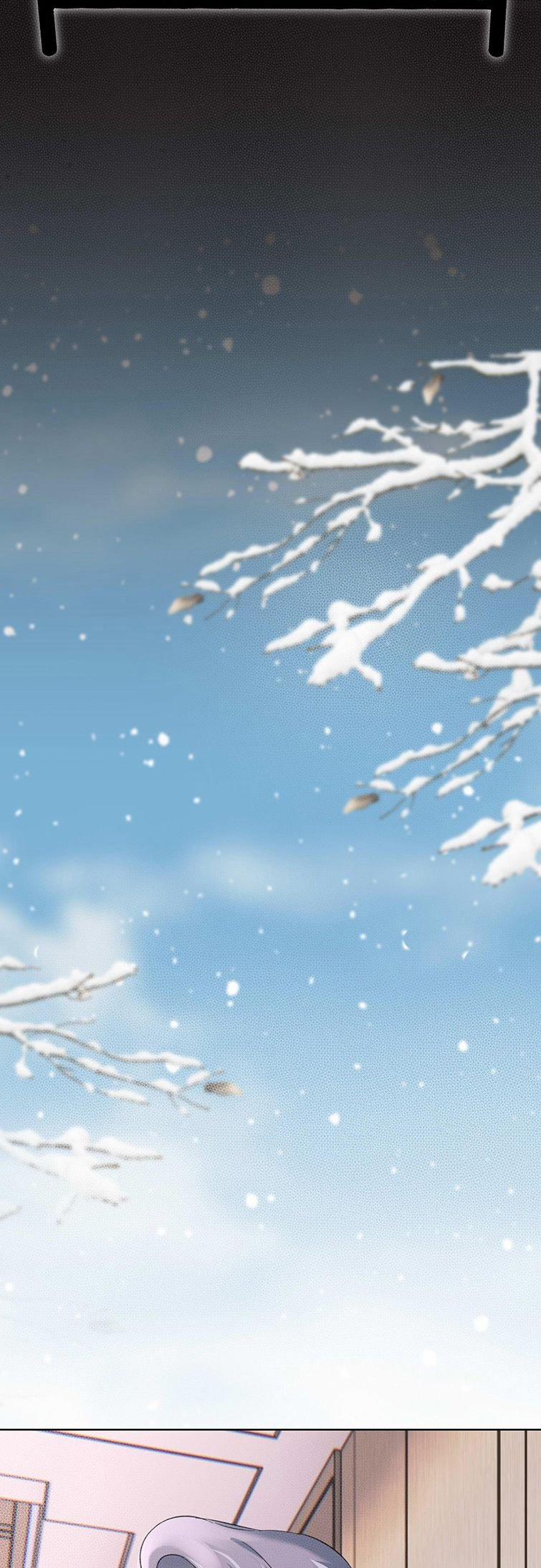 Sau Khi Xuyên Thành Pháo Hôi Tôi Chỉ Muốn Ly Hôn 17 trang 4