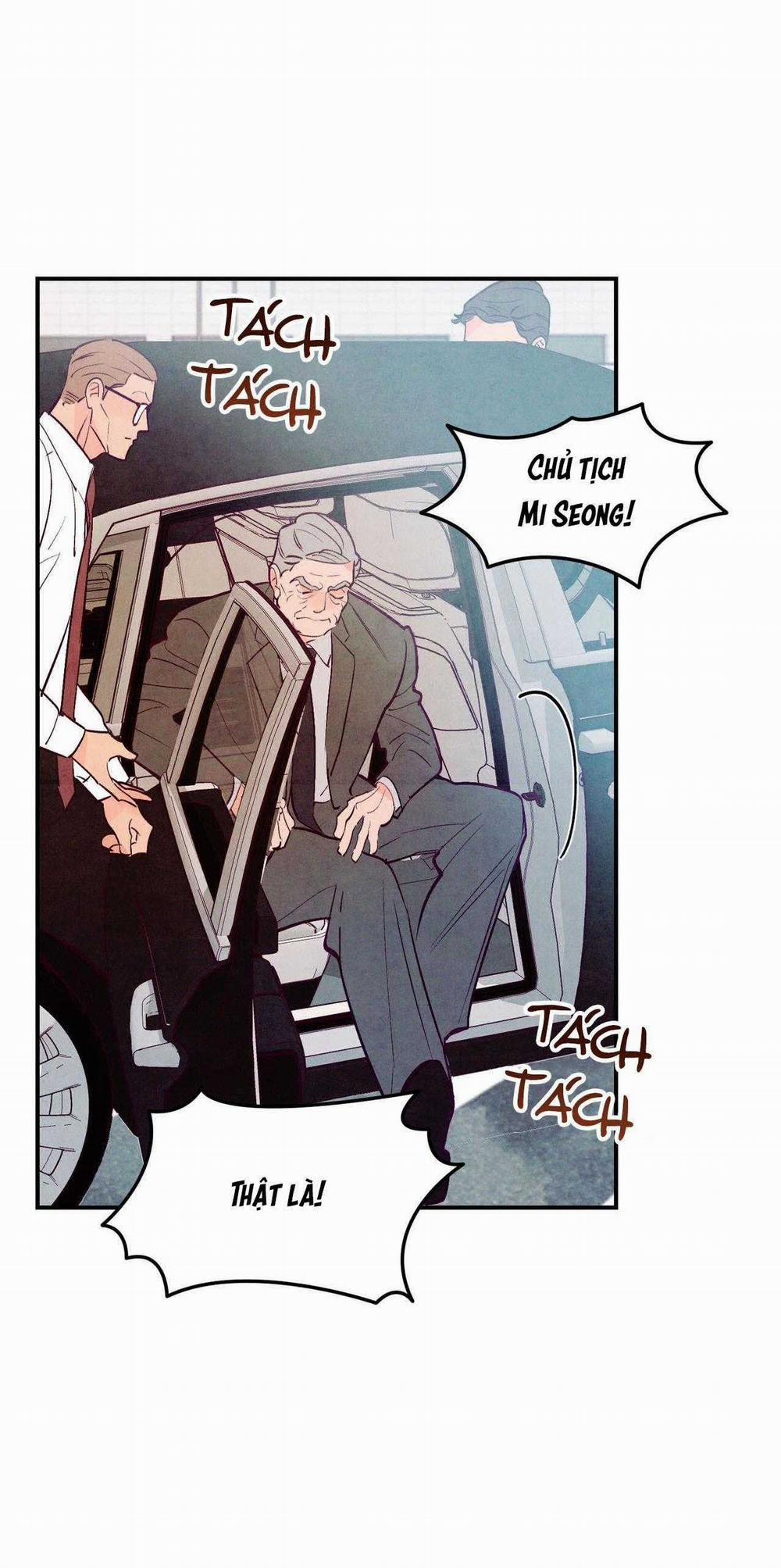 Say Tình 85 trang 13