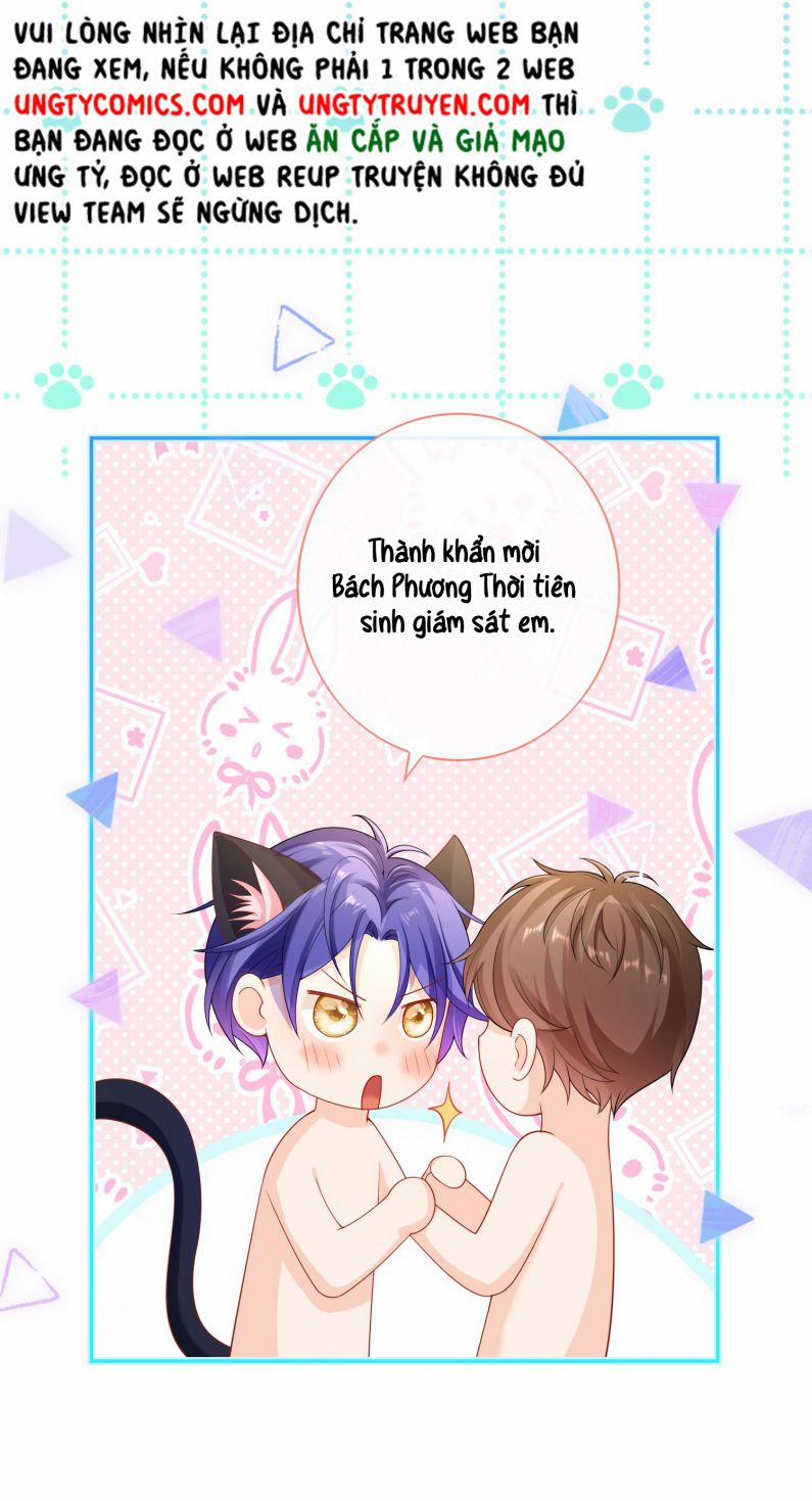 Scandal Quá Nhiều Là Lỗi Của Tôi Sao? 52 trang 20