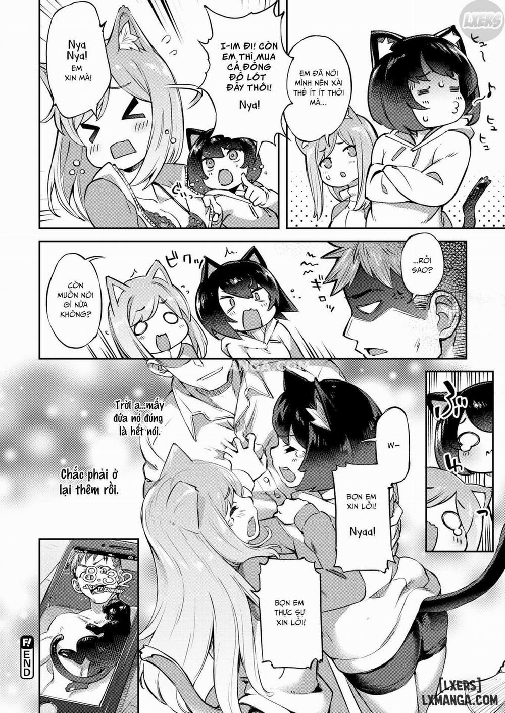 Scolding Kitties Oneshot trang 15