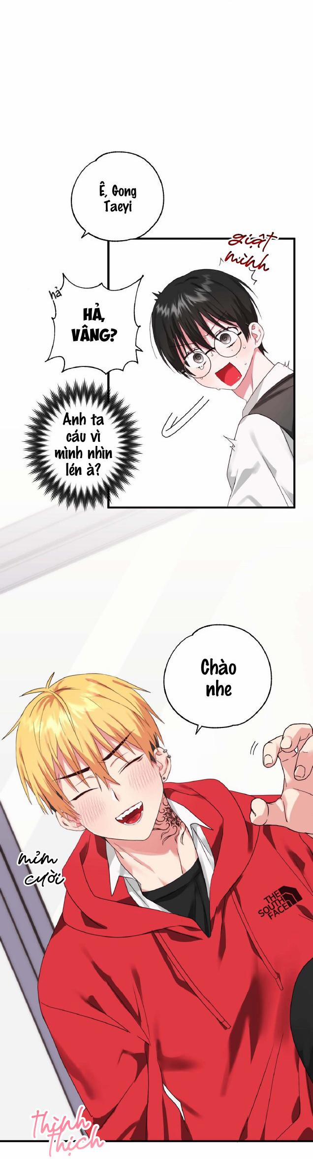 Sẽ thêm chim vào sớm thôi! 1 trang 2