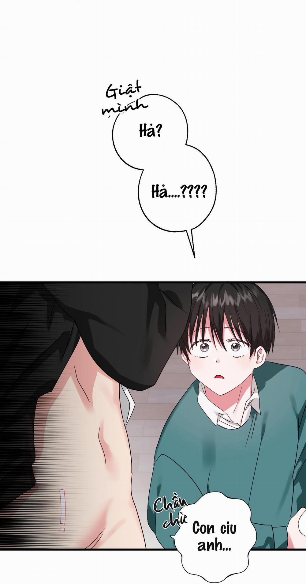 Sẽ thêm chim vào sớm thôi! 1 trang 37