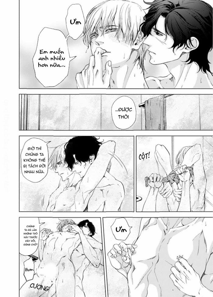 Sei No Gekiyaku 7 (End) trang 13