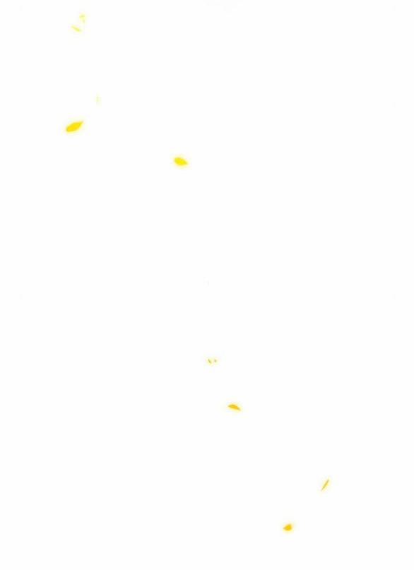 Serena 81.1 trang 28